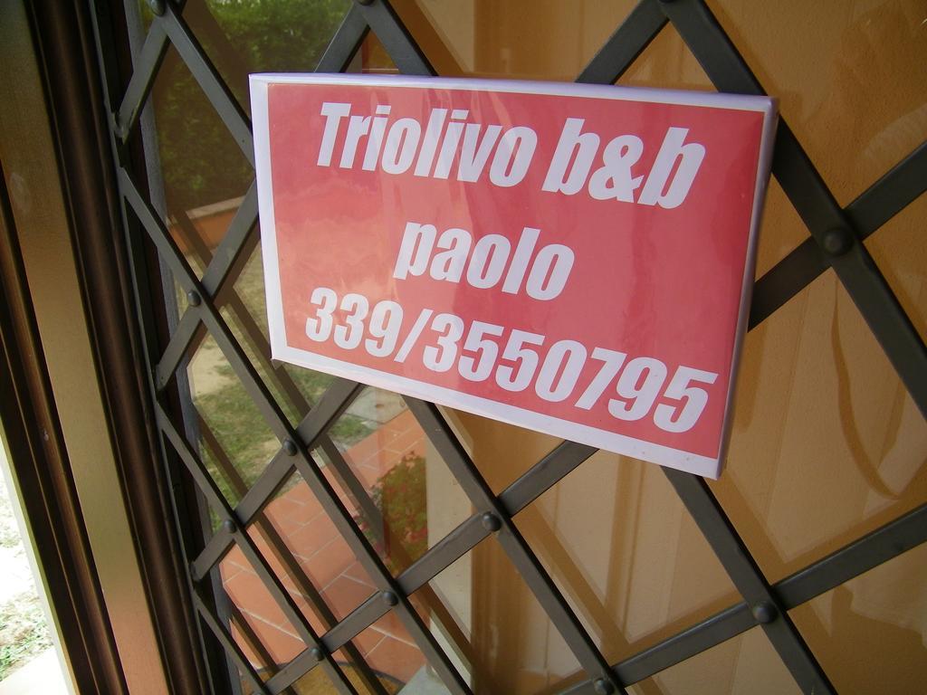 Triolivo B&B คาปานโนริ ภายนอก รูปภาพ